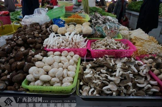 食用蘑菇成分检测办理流程?